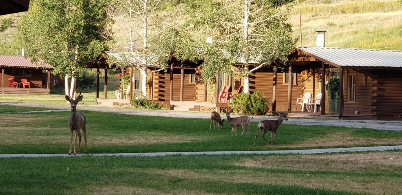 High Country Lodge And Cabins パゴサ・スプリングス エクステリア 写真